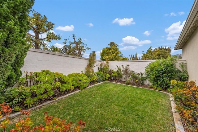 18 Corte Sevilla, San Clemente, CA 92673 - view of yard