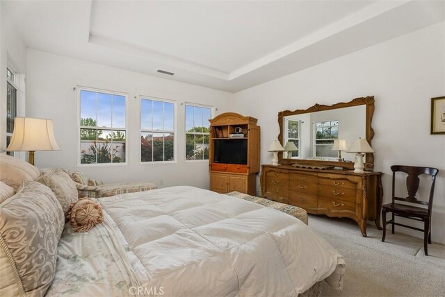 18 Corte Sevilla, San Clemente, CA 92673 - bedroom with multiple windows, light colored carpet, and a raised ceiling