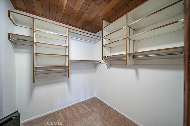 walk in closet featuring carpet floors