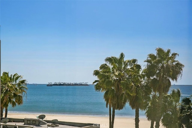 water view featuring a view of the beach