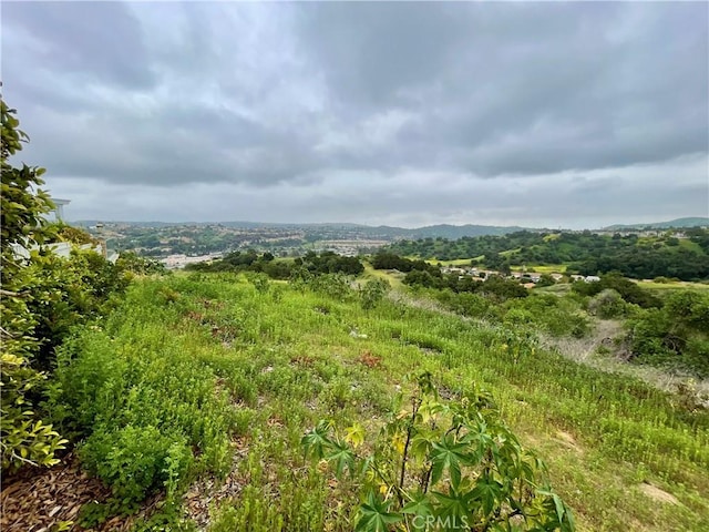 view of local wilderness
