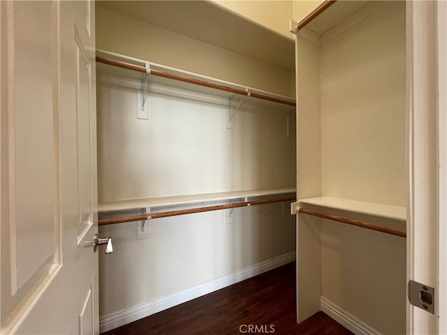 walk in closet with dark wood-type flooring