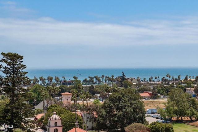 bird's eye view with a water view