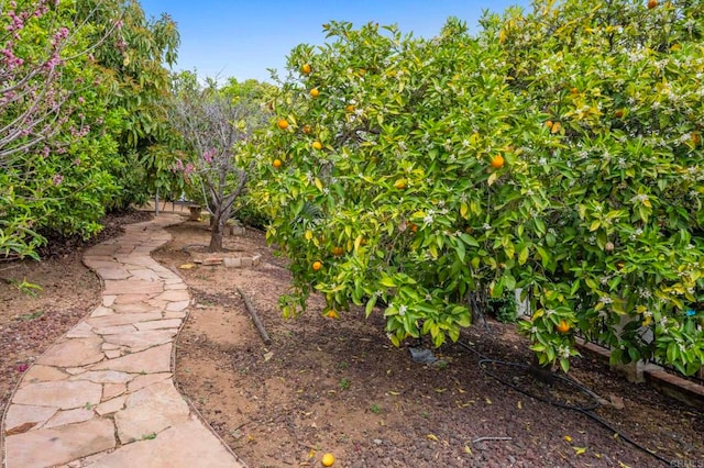 620 Lacrosse Pl, Escondido, CA 92025 - photo 45