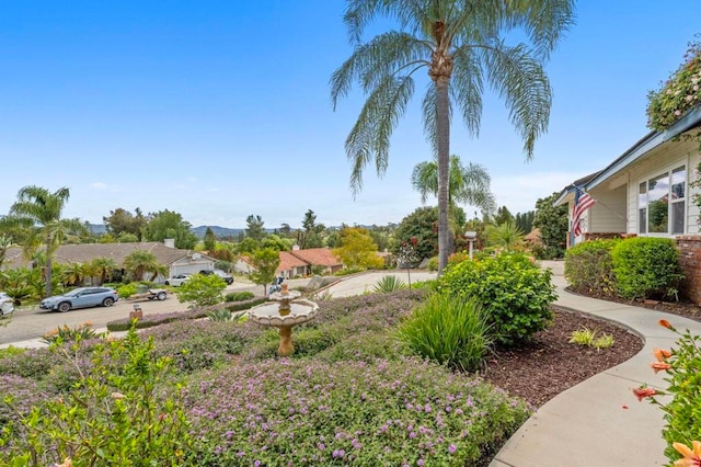 620 Lacrosse Pl, Escondido, CA 92025 - photo 3