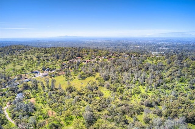 birds eye view of property with a forest view