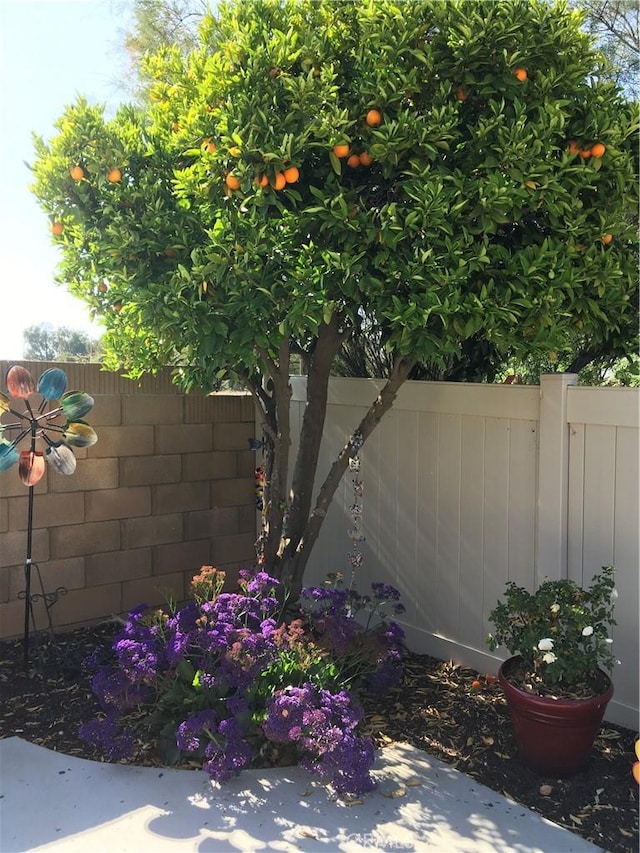 26661 Calle Emiliano, Menifee, CA 92585 - photo 12
