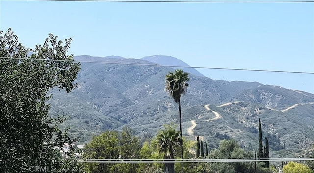 3812 Ash St, Lake Elsinore, CA 92530 - photo 21