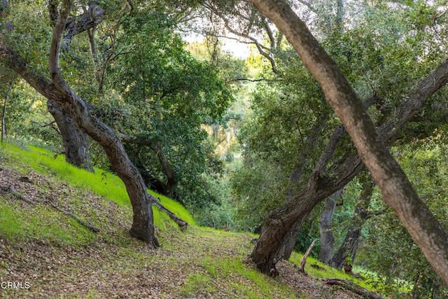 1270 Dove Meadow Rd, Solvang, CA 93463 - view of tree filled area