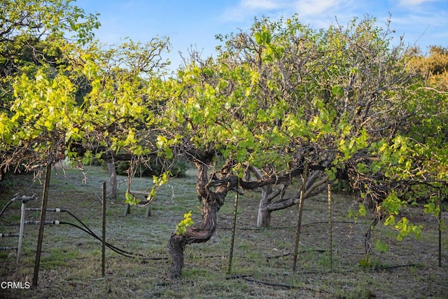 1270 Dove Meadow Rd, Solvang, CA 93463 - view of nature