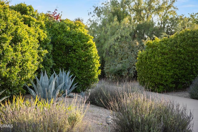 1270 Dove Meadow Rd, Solvang, CA 93463 - view of yard