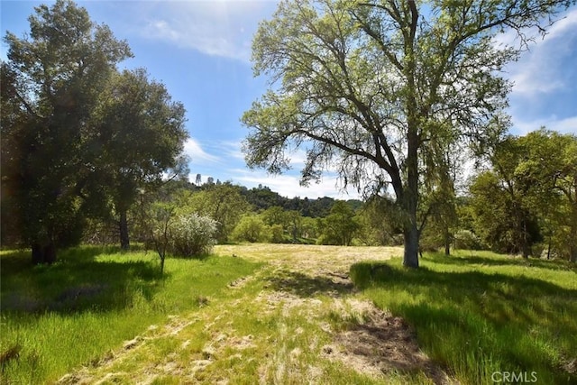 0 Gateway Dr, Paso Robles, CA 93446 - photo 13