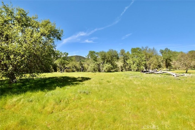 0 Gateway Dr, Paso Robles, CA 93446 - photo 14