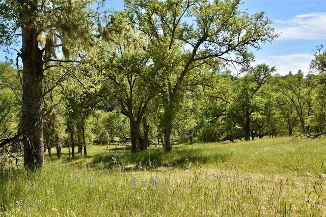 0 Gateway Dr, Paso Robles, CA 93446 - photo 18