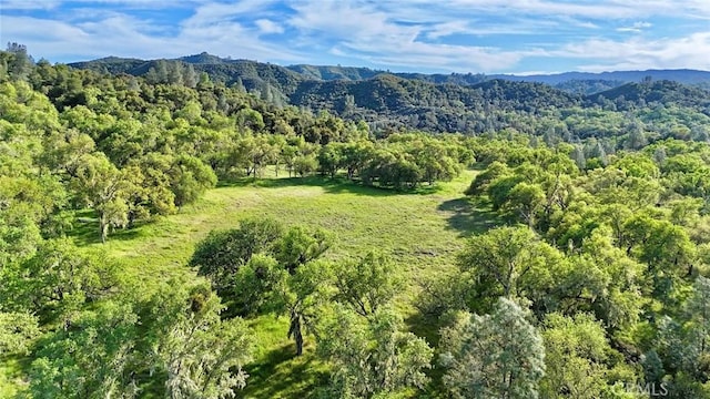 0 Gateway Dr, Paso Robles, CA 93446 - photo 4