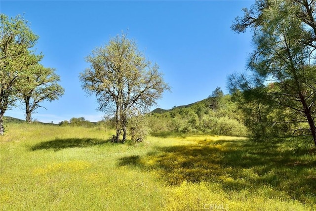 0 Gateway Dr, Paso Robles, CA 93446 - photo 21