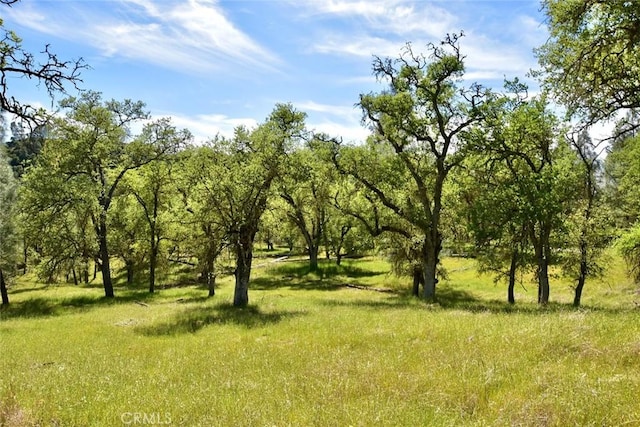 0 Gateway Dr, Paso Robles, CA 93446 - photo 19
