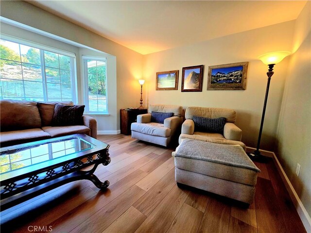 47180 Lookout Mountain Dr, Coarsegold, CA 93614 - living room with wood finished floors and baseboards