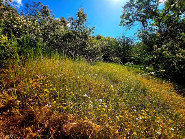 47180 Lookout Mountain Dr, Coarsegold, CA 93614 - view of undeveloped land
