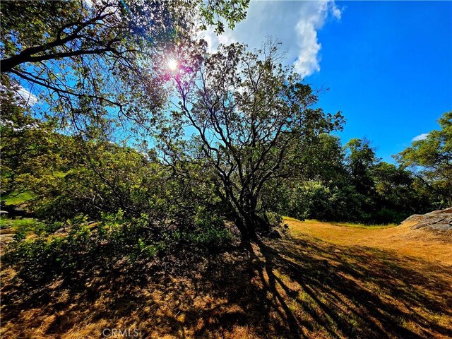 47180 Lookout Mountain Dr, Coarsegold, CA 93614 - view of woods