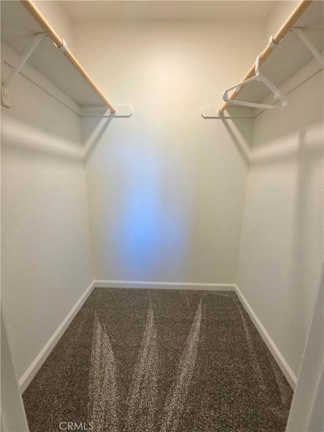 47180 Lookout Mountain Dr, Coarsegold, CA 93614 - walk in closet with carpet floors
