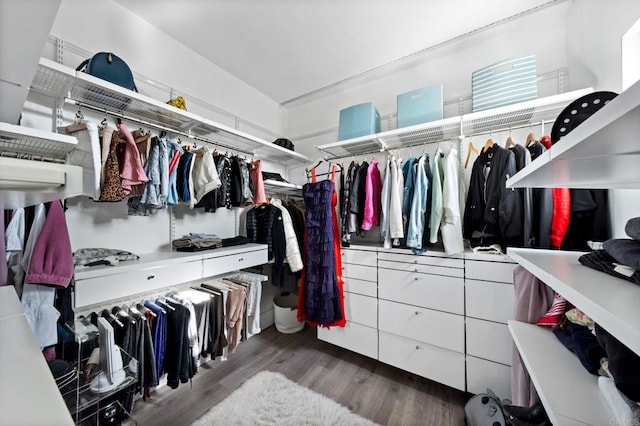 walk in closet featuring wood finished floors