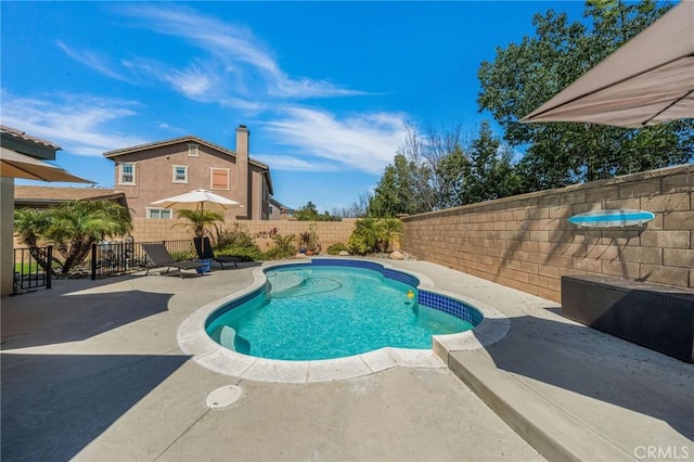 view of swimming pool with a fenced in pool, a patio, and a fenced backyard