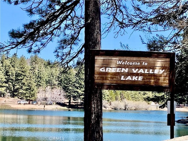 33010 Juniper Ln, Green Valley Lake, CA 92341 - exterior space