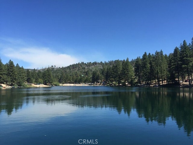 33010 Juniper Ln, Green Valley Lake, CA 92341 - view of water feature featuring a forest view