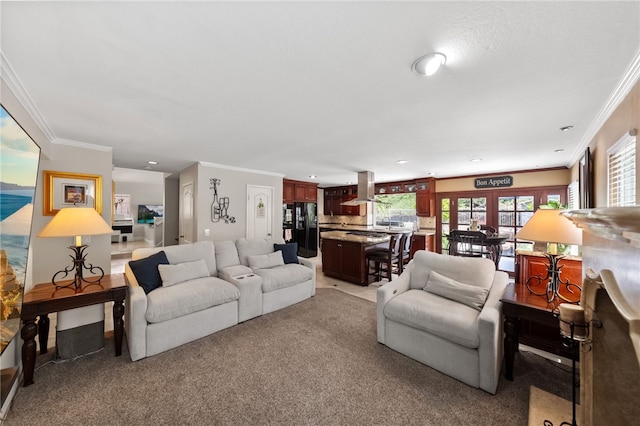 1441 San Almada Rd, Corona, CA 92882 - living area with light carpet and crown molding