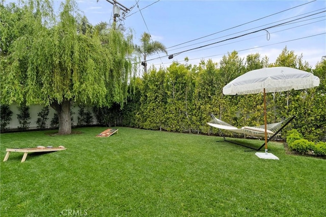 view of yard