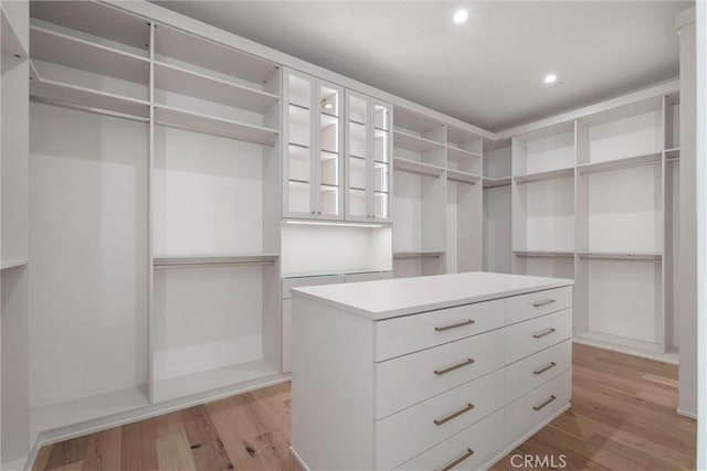 1311 18th St, Manhattan Beach, CA 90266 - spacious closet with light wood finished floors