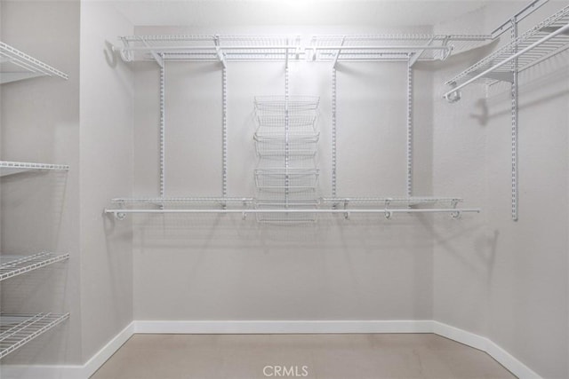 view of walk in closet
