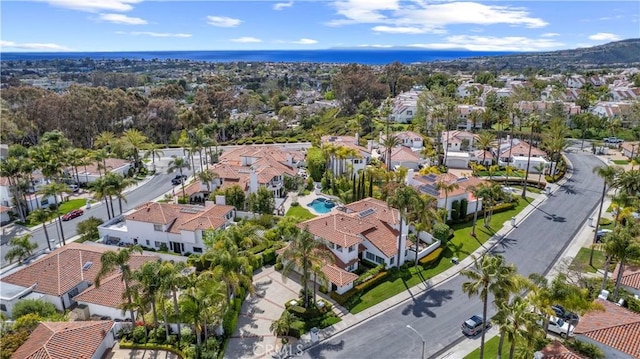 31 Terraza Del Mar, Dana Point, CA 92629 - aerial view of residential area