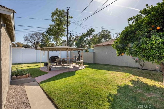 view of yard with a fenced backyard and a patio