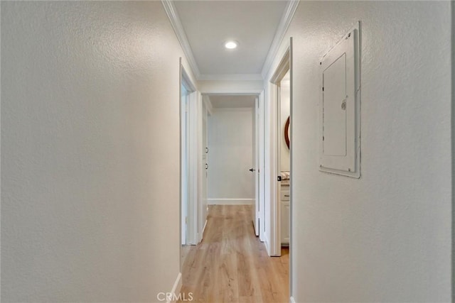 hallway with ornamental molding, a textured wall, baseboards, electric panel, and light wood-style flooring