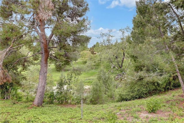 view of local wilderness with a forest view