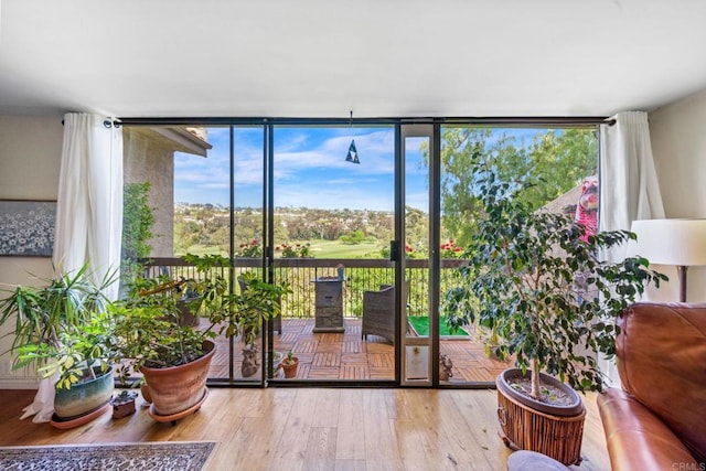 2564 Navarra Dr Unit 113, Carlsbad, CA 92009 - doorway to outside featuring wood-type flooring, healthy amount of natural light, golf course view, and floor to ceiling windows