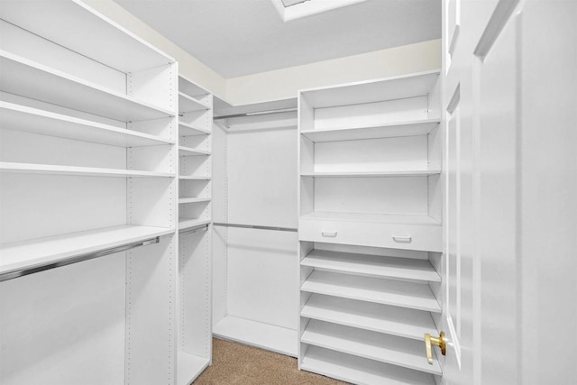 6017 Piros Way, Oceanside, CA 92056 - view of spacious closet