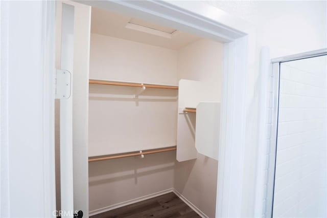 spacious closet featuring dark wood-style flooring