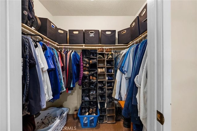 33435 Hubbard Rd, Acton, CA 93510 - view of walk in closet