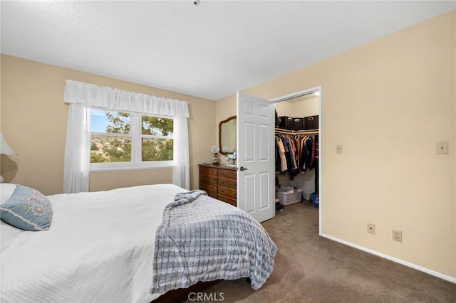 33435 Hubbard Rd, Acton, CA 93510 - carpeted bedroom with a spacious closet and a closet