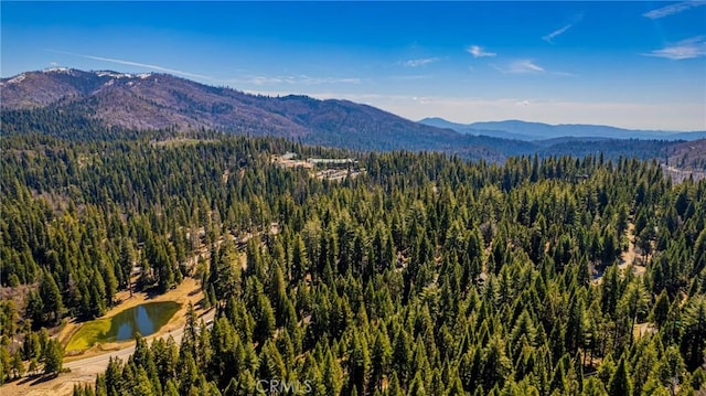 1163 Silvertip Ln, Fish Camp, CA 93623 - mountain view with a water view and a forest view