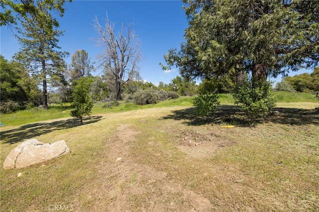 5072 Tip Top Rd, Mariposa, CA 95338 - photo 40