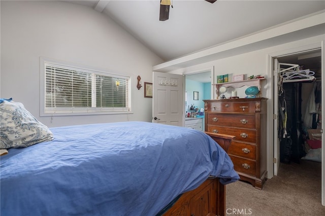 5072 Tip Top Rd, Mariposa, CA 95338 - photo 15