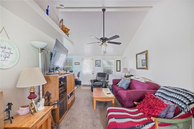 5072 Tip Top Rd, Mariposa, CA 95338 - photo 8