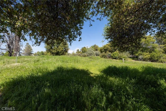5072 Tip Top Rd, Mariposa, CA 95338 - photo 29