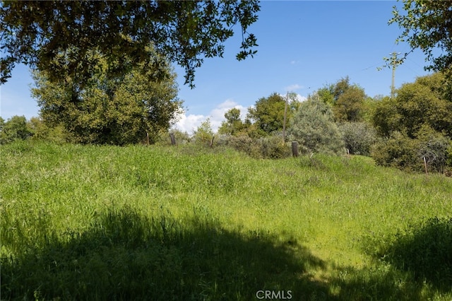 5072 Tip Top Rd, Mariposa, CA 95338 - photo 30