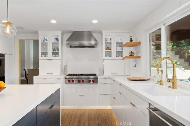 kitchen featuring white cabinets, ventilation hood, light countertops, a sink, and appliances with stainless steel finishes