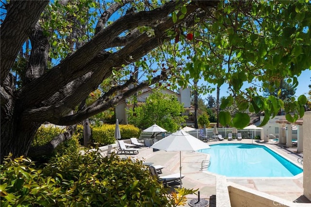 24352 Berrendo Unit 4, Aliso Viejo, CA 92656 - community pool featuring a patio area